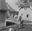 En äldre man klippe en gräsmatta med en motordriven gräsklippare. Solen skiner och han har uppkavlade skjortärmar. Han ser glad ut. I bakgrunden syns hus med prydliga grusgångar och nyplanterade buskar och blommor runt.