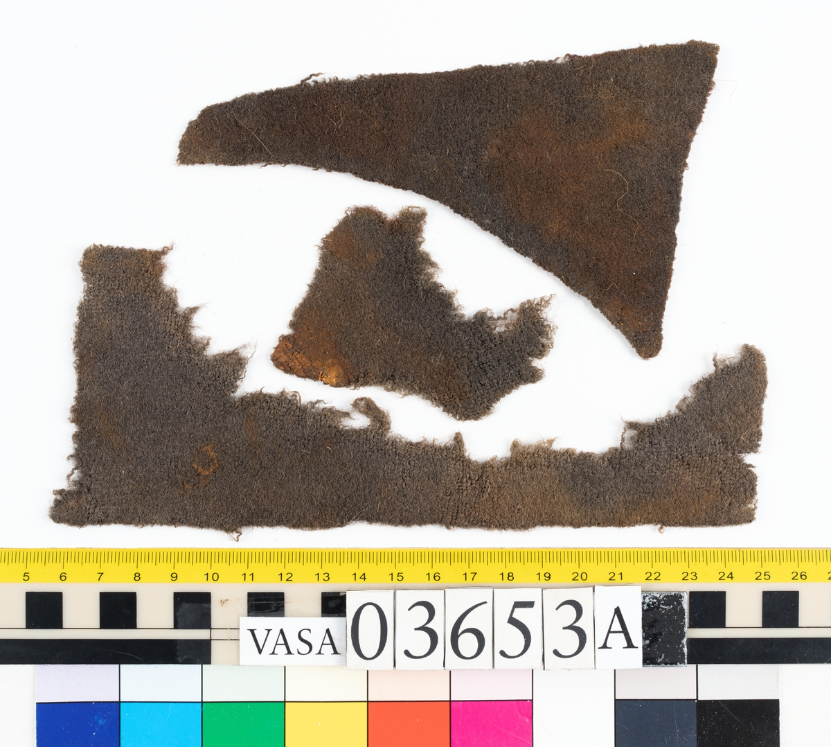 Textilfragment. Fem fragment uppdelade på 03653a-c. Fnr 03653a omfattar tre fragment i ull vävda i tuskaft som ser ut att ha varit valkade. De har idag en brun färg.
Fnr 03653b är ett fint/tunt fragment som är grått med rostfläckar. Fragmentet är av ull vävt i tuskaft och ser ut att ha varit valkat.
Fnr 03653c är filt och har idag en brun färg.


Textildokumentation 2018:


Ingår i kontextgrupp: ÖB31

Fyndnumret 03653a  innehåller 3 fragment av två typer (ÖB31.1:1-2, ÖB31.2:1).
Tygerna är tätt vävda med ruggade ytor. Invasiva fibrer, löst liggande, av ljus kulör finns på alla tre fragmenten. Tygerna är snarlika men skiljer sig bl.a åt vad det gäller trådtäthet.

ÖB31.1:1-2 har slitna kanter samt bortnött lugg på vissa ställen. 
ÖB31.1:1 Ett rostigt avtryck i form av en dubbelbåge, möjligtvis av en hyska  eller en hake. Inga stygnhål syns. Tillskurna kanter på tre sidor. Antydan till tillskuren svängd kant med bristningar utefter en söm. 
ÖB31.1:2 Ett hörn med förhårdnad av rost. Ena sidan har bevarad lugg men andra sidan bortsliten lugg. Ett svagt avtryck i form av en dubbelbåge, möjligtvis av en hyska  eller en hake tillsammans med stygnhål. Antydan till tillskurna kanter på två sidor.
ÖB31.2:1 Bevarade tillskurna kanter varav två med stygnhål och spår av kaststygn. En del stygnhål har rester av rost. På ena sidan finns ett avtryck i form av ett C.  


TEKNIK Typ.nr: ÖB31.1:1-2
Teknik
Trådsystem 1
Trådtäthet (tr/cm): 9-11
Garn nr: 1
Fibermaterial: ull
Garngrovlek (mm): 0,9-1,1
Antal trådar: 1
Spinnriktning: s
Spinnvinkel (grader): 18,3-30,7
Färg:  brun, originalfärg okänd

Trådsystem 2
Trådtäthet (tr/cm): 9-11
Garn nr: 2
Fibermaterial: ull
Garngrovlek (mm): 0,7-0,9
Antal trådar: 1
Spinnriktning: z
Spinnvinkel (grader): 24,8-35,4
Färg: brun, originalfärg okänd

TEKNIK Typ.nr: ÖB31.2:1
Trådsystem 1
Trådtäthet (tr/cm): 10-11
Garn nr: 1
Fibermaterial: 
Garngrovlek (mm): 0,7-0,9
Antal trådar: 1
Spinnriktning: z
Spinnvinkel (grader): -
Färg:  brun, originalfärg okänd

Trådsystem 2
Trådtäthet (tr/cm): 10-11
Garn nr: 2
Fibermaterial: ull
Garngrovlek (mm): 0,7-1,0
Antal trådar: 1
Spinnriktning: s
Spinnvinkel (grader): -
Färg: brun, originalfärg okänd

Fyndnumret 03653b  innehåller 1 fragment (ÖB31.3:1).
Ett mycket tätt vävt tyg med lugg i en ljusare kulör. Ytbehandlad på båda sidorna. På ena sidan är luggen slät och blank samt lutar i en riktning.
Bevarade tillskurna kanter på fyra av fem sidor. Fält med avtryck av rost. Ljusare på ena sidan.


TEKNIK Typ.nr: ÖB31.3:1
Trådsystem 1
Trådtäthet (tr/cm): 27-29
Garn nr: 1
Fibermaterial: ull
Garngrovlek (mm): 0,18-0,22
Antal trådar: 1
Spinnriktning: s
Spinnvinkel (grader): 29-35
Färg: originalfärg okänd 

Trådsystem 2
Trådtäthet (tr/cm): 23-26
Garn nr: 2
Fibermaterial: ull
Garngrovlek (mm): 0,18-0,26
Antal trådar: 1
Spinnriktning: z
Spinnvinkel (grader): 30
Färg: originalfärg okänd


Fyndnumret 03653c  innehåller 1 större samt två mindre fragment. (ÖB31.4:1).
En textil av filtad ull.  Avtryck av järn.

TEKNIK Typ.nr: ÖB31.4:1
Fibermaterial: ull, tunna brunna med inslag av mörkare tjockare fibrer.
Färg: olika nyanser av brunt


Dokumenterad av JH nov 2017, AS maj 2018.
Införd av MS juni 2018.