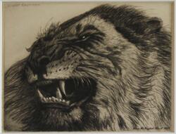 Lejonhuvud [Etsning]