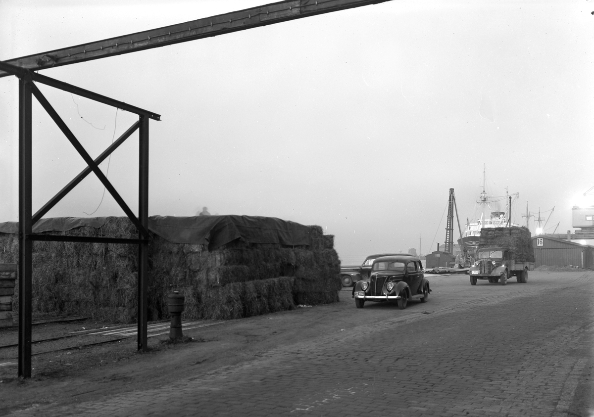 Nekolai Dahl fryserianlegg
