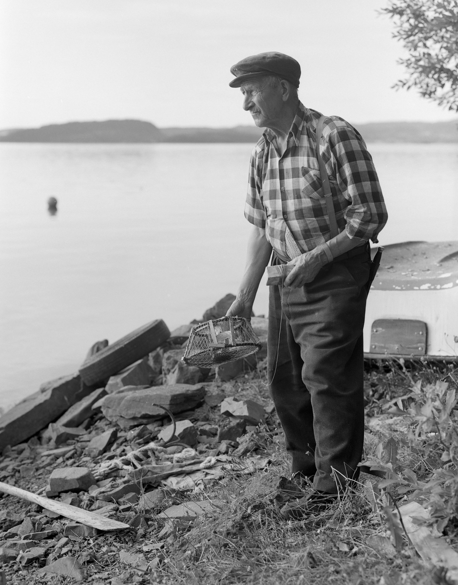 Yrkesfiskeren Paul Stensæter (1900-1982), fotografert med ei krepseteine i hendene. Fotografiet er tatt i strandsona ved Steinsfjorden, en sidearm til Tyrifjorden på Ringerike i Buskerud. Stensæter eide småbruket Bjerkeli på østsida av denne fjorden, men bruket var ikke stort nok til at han kunne leve avlingene. Derfor drev han med fiske, både i sommer- og vintersesongen. Fangsten solgte han hovedsakelig på Hønefoss, som var nærmeste by. Krepsefisket hadde han antakelig lært av faren, Sigvart Stensæter (1878-1963). Han hadde vært blant pionerene i denne virksomheten i 1890-åra. I begynnelsen ble krepsen tatt i vanlige abborteiner, men etter hvert utviklet Karl Larsen, en sambygding av Stensæter-karene, den teinemodellen vi ser på dette fotografiet. Tidligere ble krepsen fanget gjennom hele sommersesongen. Da dette fotografiet ble tatt, i 1976, var det forbudt å ta kreps før 7. august.