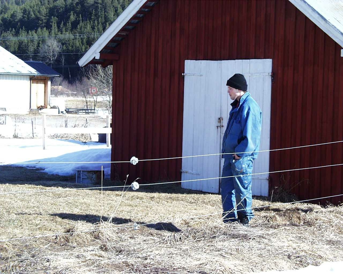 Trond Vingelsgaard: Gamle Berger skole, Rendalen