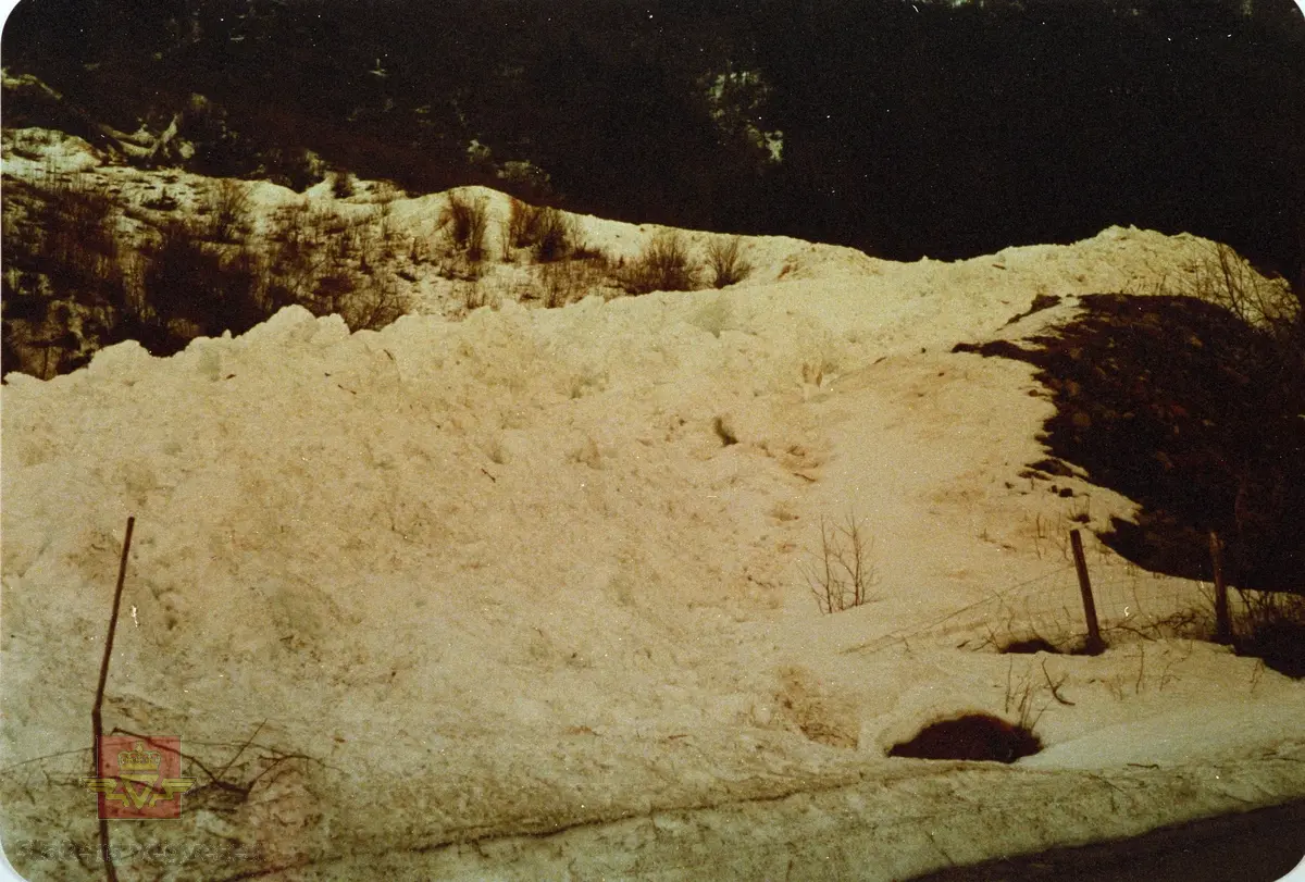 Synfaring snøskredfarleg område på fylkesveg 724 Oldedalsvegen år 1987.

Snøskred mot ledevoll ved Aksnesfonna.