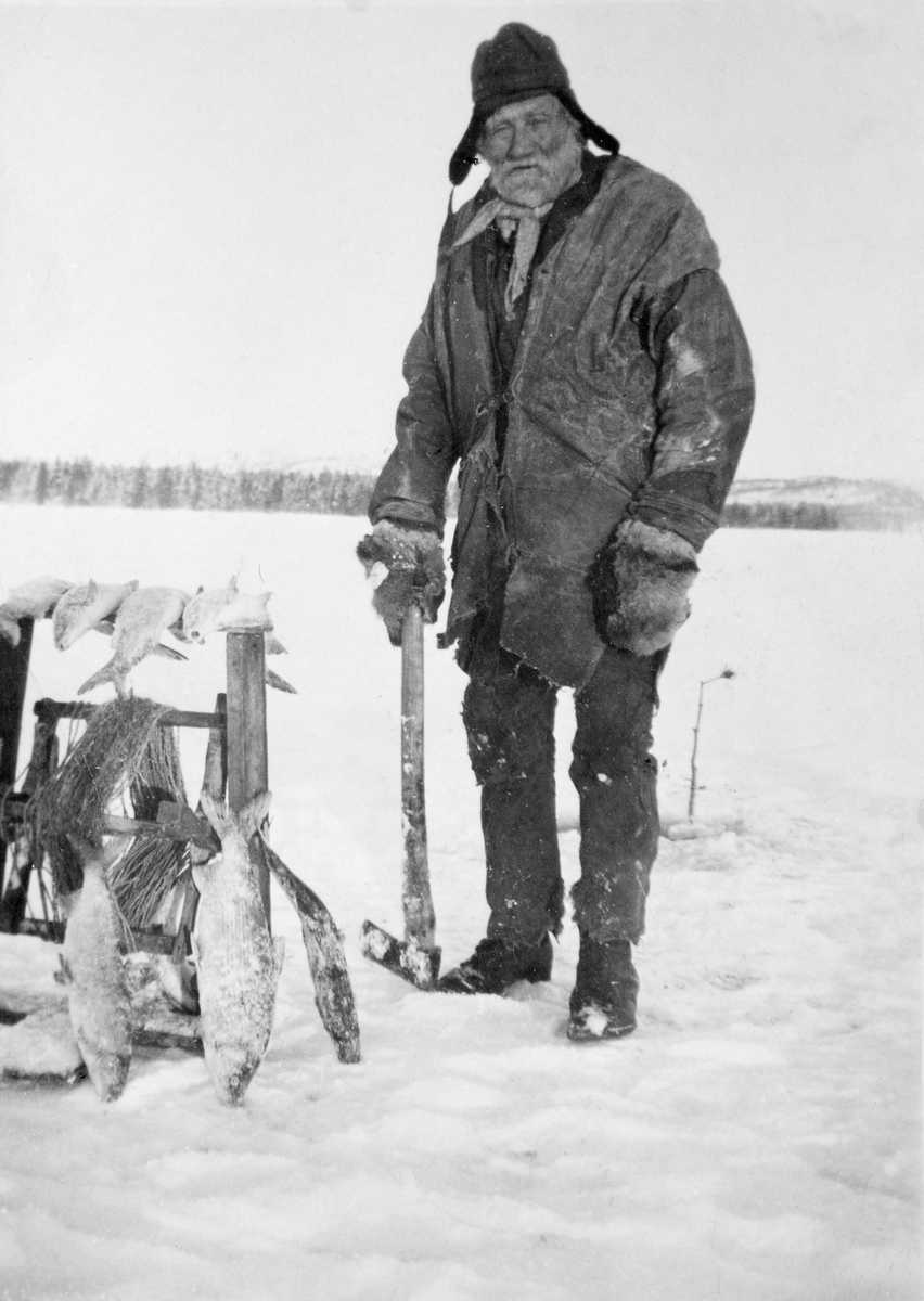 "Veslefisket" i Isteren, Engerdal, Hedmark. Ole Johan Haugsetvollen med vinne til garntrekking under isen i forbindelse med garnfiske etter sik om vinteren.