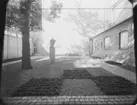 ARKIVTRÄDGÅRDEN I LUND
