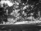 ARKIVTRÄDGÅRDEN I LUND