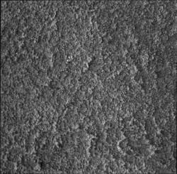 Olaus Petri kyrka (Kyrka) : Stockholm