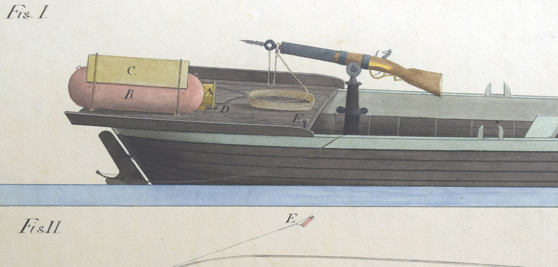 main article image