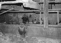 Interiørbilde fra gamle fabrikklokalene etter Klevfos Cellul