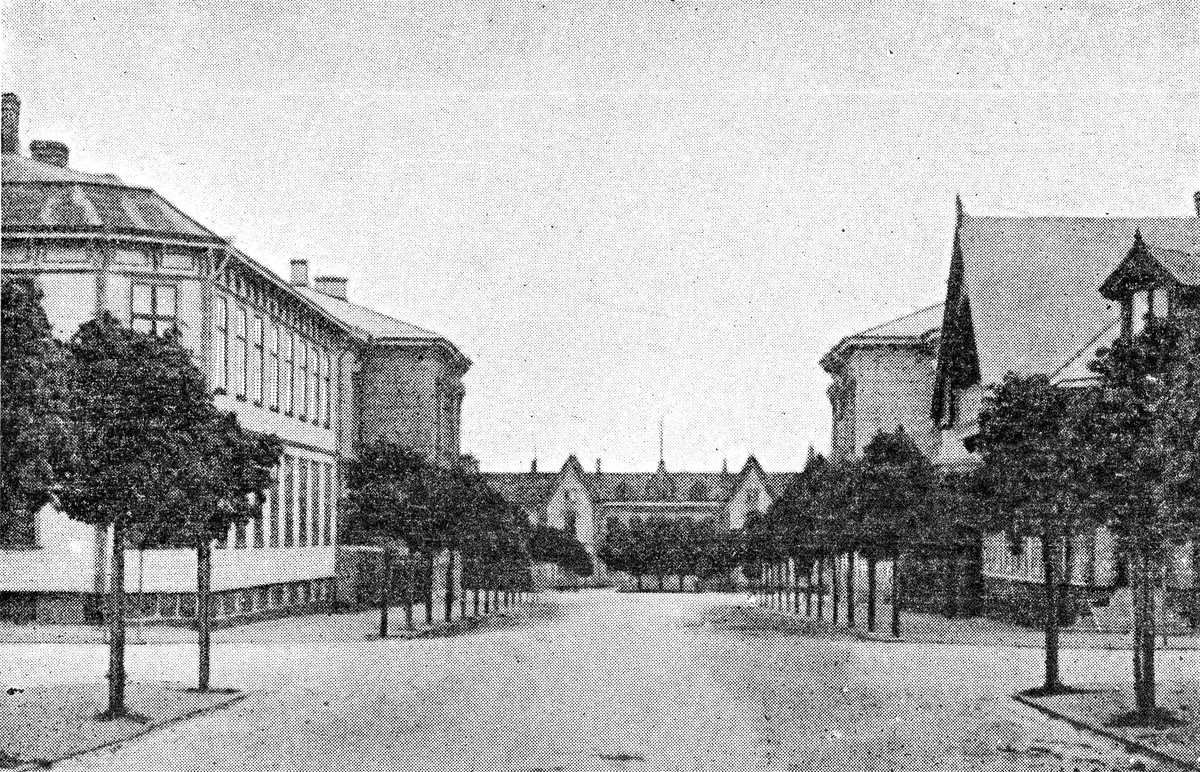 Vykort, "Warberg. Parti invid jernvägsstationen." Den avenyliknande (trädkantad och bredare än övriga gator) Eskilsgatan sedd mot järnvägsstationen i väster. Byggnaden till vänster närmast kameran kallas Adolfssonska fastigheten och ligger i kv Verkstaden; till höger kv Pipebruket.
