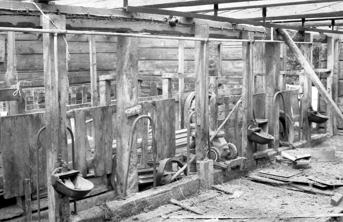 Dokumentasjonsbilder i serie av Opshaugløa i sluttfasen av nedtaking og flytting til Sunnmøre Museum.