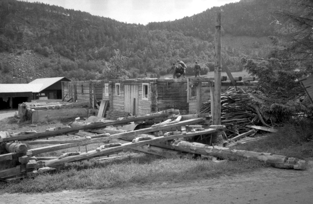 Dokumentasjonsbilder i serie av Opshaugløa i sluttfasen av nedtaking og flytting til Sunnmøre Museum.