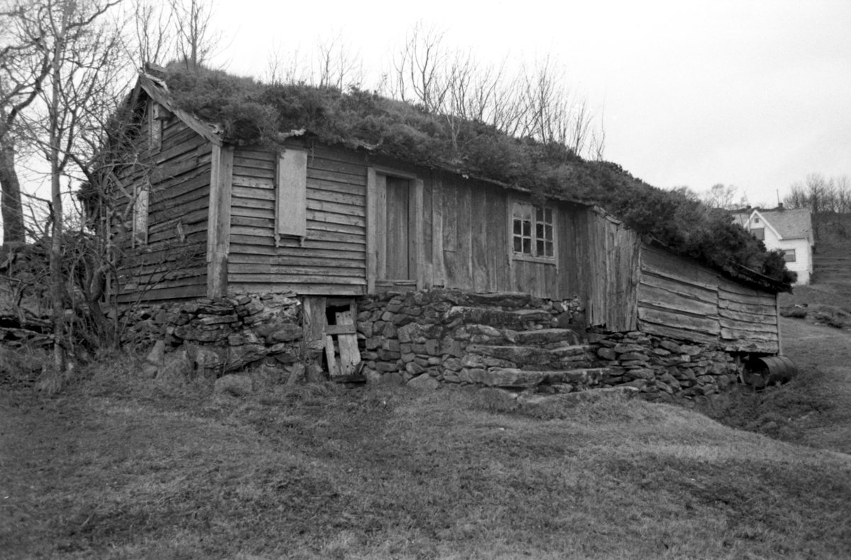 Dokumentasjonsbilder i serie av Svarthaugstova fra Herøy før nedtaking og riving.. Et sammenbygd hus som bestod av fjøs, løe og stove.