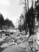 Tinnerbäcken i vinterskrud. Motiv som rimligtvis tagits som inspiration och förlaga för fotografens konstnärsskap som landskapsmålare. Den exakta platsen har inte lokaliserats.