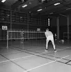 Mästerskap i badminton