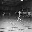 Mästerskap i badminton