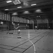 Mästerskap i badminton