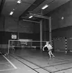 Mästerskap i badminton