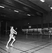 Mästerskap i badminton