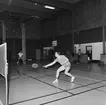 Mästerskap i badminton