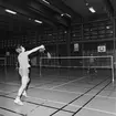 Mästerskap i badminton