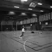 Mästerskap i badminton