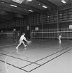 Mästerskap i badminton