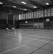 Mästerskap i badminton