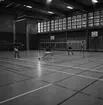 Mästerskap i badminton