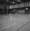 Mästerskap i badminton