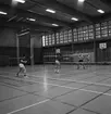 Mästerskap i badminton