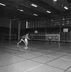 Mästerskap i badminton