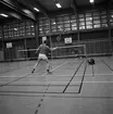 Mästerskap i badminton