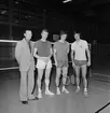 Mästerskap i badminton