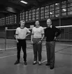 Mästerskap i badminton