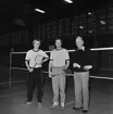 Mästerskap i badminton