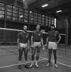 Mästerskap i badminton