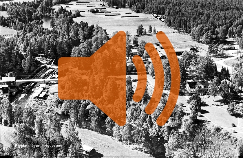 Sven Larsson berättar om sina minnen från Friggesund, Hälsingland. Intervjun är utförd av Barbro Bursell den 14/8 år 1970. Nedtecknad intervju finns tillgänglig som pdf-fil.