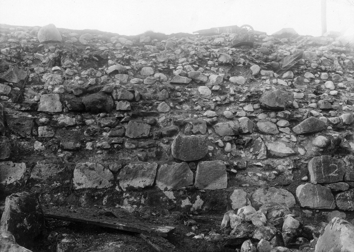 Laholm, Lagaholm, RAÄ 38. Laholms landsförsamling. Lagaholms slottsruin under utgrävning och restaurering.