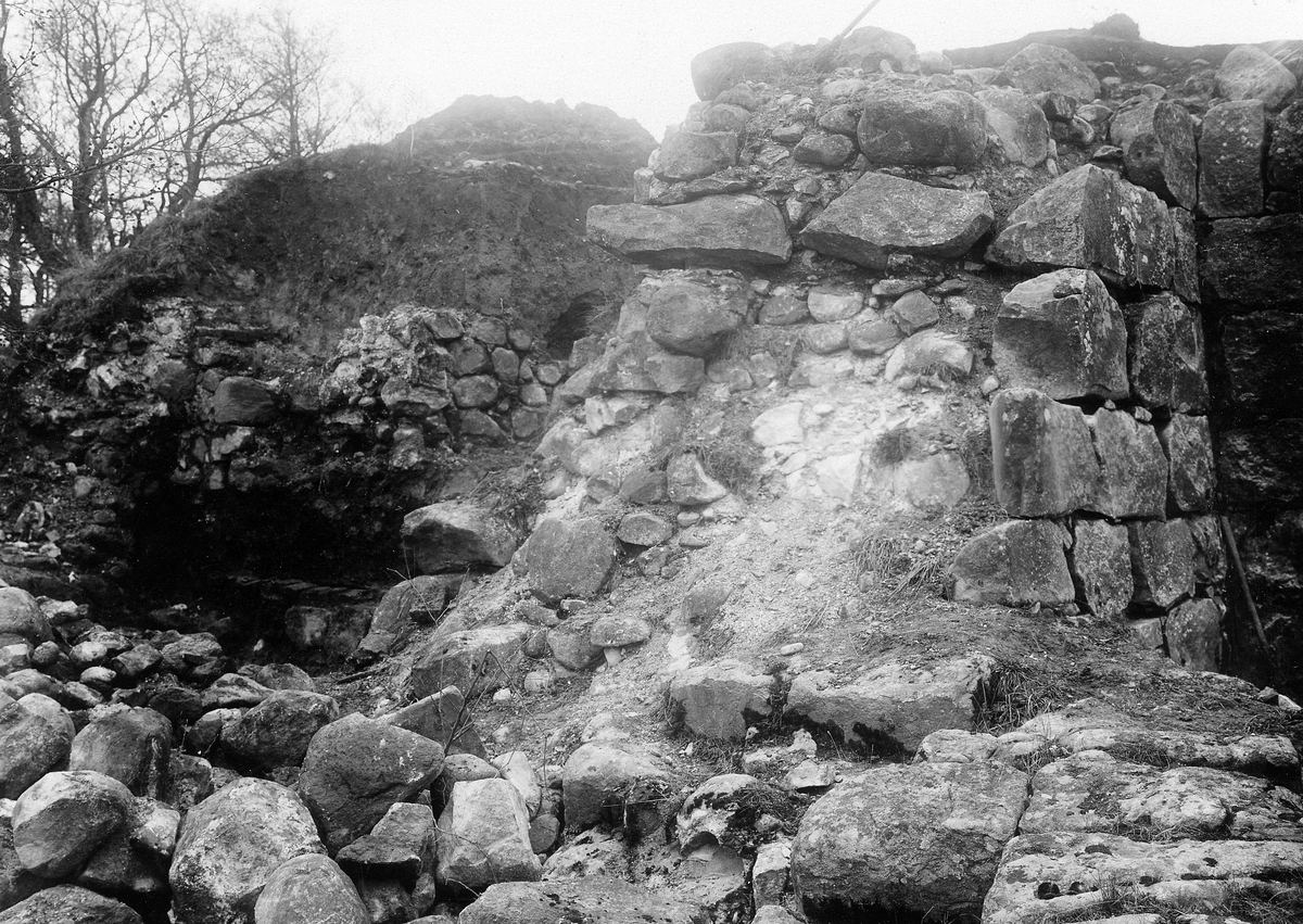 Laholm, Lagaholm, RAÄ 38. Laholms landsförsamling. Lagaholms slottsruin under utgrävning och restaurering.