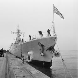 Skador på engelska Fregatt