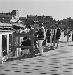 Bolagsstyrelsens utfärd