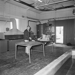 Int av nya betverkstan