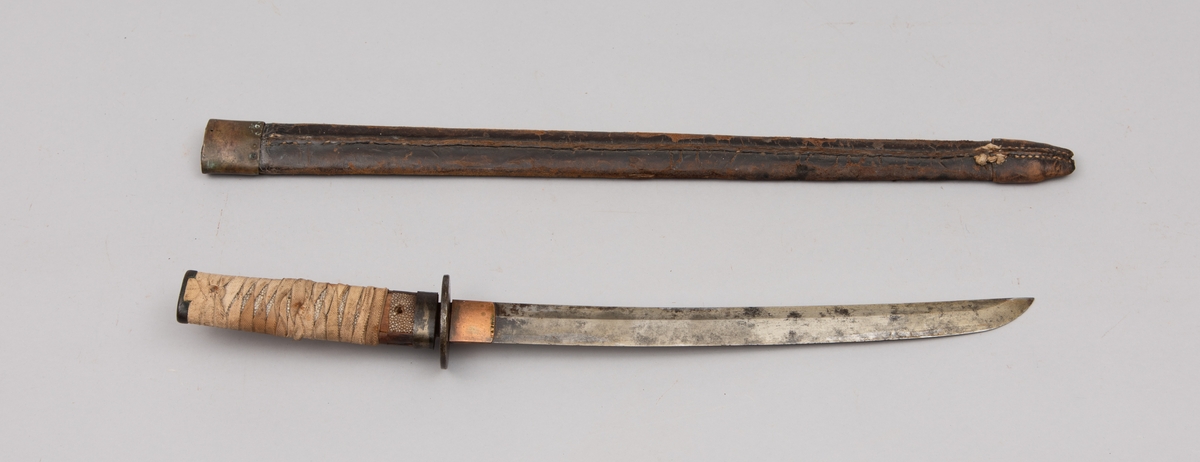 Japansk sverd, Wakizashi, korpsversjon. 1600/1700-talls, sett ut i fra klingen. Er fra Satsumaopprøret 1870-årene.