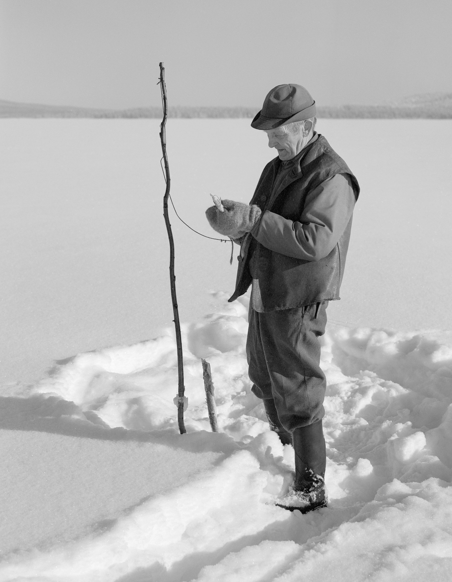 Osvald Kolbu fanger lake med fiskesaks (gjeddesaks) på den snødekte isen på innsjøen Isteren i Engerdal i Hedmark. Bildet ble tatt i slutten av februar 1977.