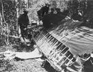 Närbild av havererat flygplan Ö 4, FVM Dront i skogsparti, 14 juni 1926. Militärer kring flygplanet.
