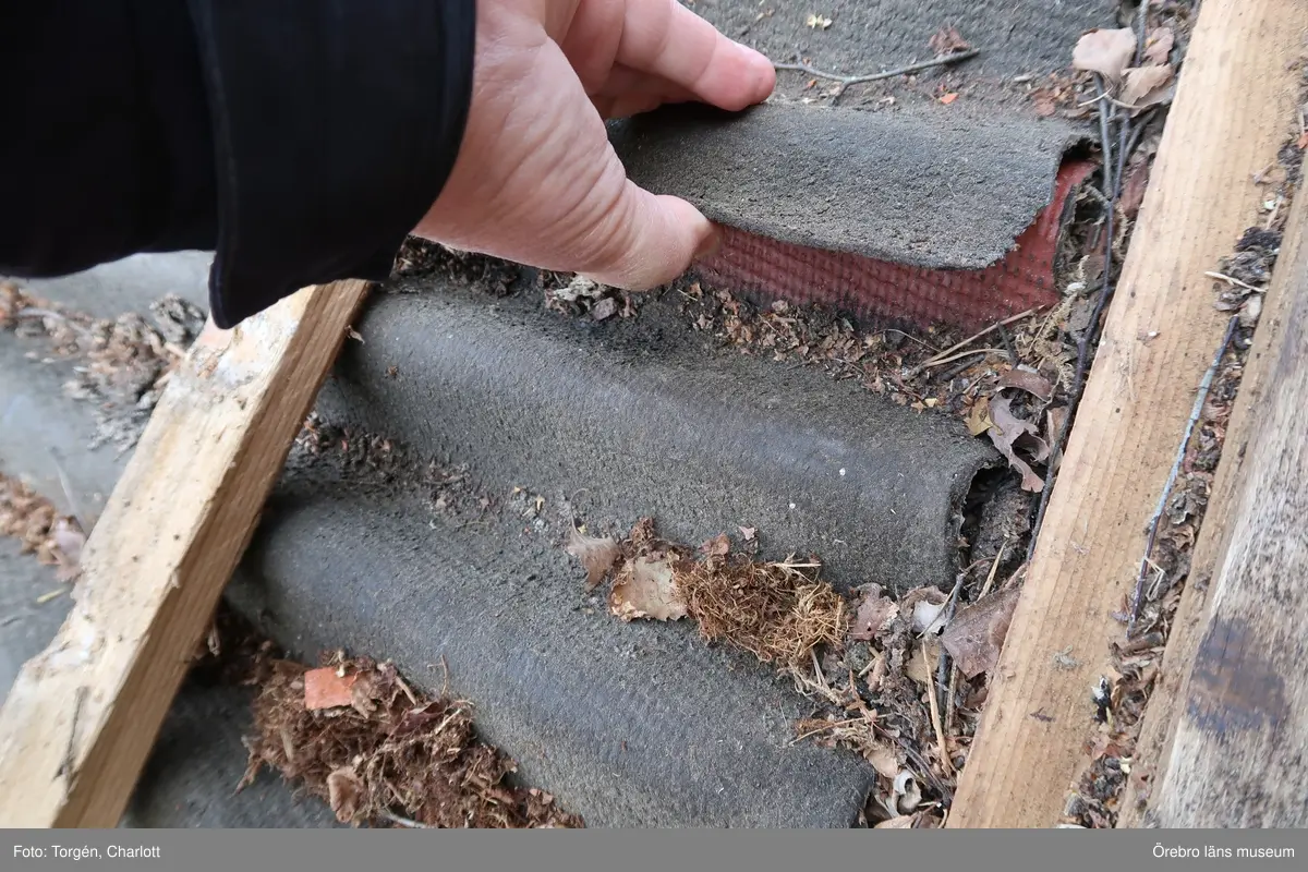 Fotoprotokoll
Acc.nr. OLM-2021-37

Objekt: Skräddartorp
Ort: Gtyrhyttan
Socken: Grythytte socken
Kommun: Hällefors kommun
Län: T
År: 2021

Motiv: Omläggning av tak samt åtgärder på panel, på logen vid Skräddartorp

1: Portlidret in till gårdstunet
2: Loglängan, södra sidan
3: Östra lilla tillbyggnaden, före åtgärder
4: Under arbetets gång, teglet har plockats av
5: Panelen på norra sidan av logen. Marken har planats ut och växtligheten tagits bort. Nedre delen av panelen har också tagits bort.
6: Undertaket
7: Östra lilla tillbyggnaden, norra sidan. Arbetet pågår.
8: Hörnstolpe i nordöst, med rötskador längst ner. Före åtgärder.
9: När den rötskadade panelen på norra sidan av byggnaden togs bort upptäcktes att timmerstommen hade en äldre kraftig rötskada. Rians stomme hade också en kraftig sättning som troligtvis kommer av att syllstocken har ruttnat bort till hälften.
10: Timmerstommen inne i rian, mot logen. De har senare uppsågade öppningar mellan sig.
11: Syllstocken till rian är kraftigt sönderrötad. 
12: Norra sidan av logen. Arbetet pågår och marken har planats ut för att få fall från byggnaden.
13: De två timmerstommarna. Rian till vänster och logen till höger i bild.
14: Även logdelen visade sig ha äldre skador på stommen och syllstockarna.
15: Västra tillbyggnaden med lockpanel.
16: Lilla tillbyggnaden i öster efter åtgärder. Nytt taktegel, ny panel och nya vindskivor och takfotsbräda. Även logdelen fick nya vindskivor.
17: Till vänster om dörren, till rian, finns under panelen årtalet 1737 inkarvat i en av timmerstockarna.
18: Knutarna mellan rian och logen. På logen är knutarna avsågade vissa timmervarv.
19: Ena knuten till logdelen ser ut att ev ha glidit av en grundsten.
10: Även logdelen visade sig ha äldre skador på stommen och syllstockarna.

Diarienr. 2021.173