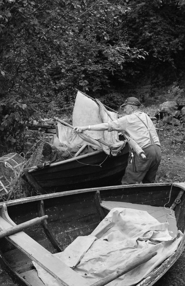 Yrkesfiskeren Paul Stensæter (1900-1982), fotografert i båtstøa han hadde på østsida av Steinsfjorden, en sidearm til Tyrifjorden på Ringerike i Buskerud. Da dette fotografiet ble tatt ordnet Stensæter med det utstyret han brukte når han fanget ørekyt (Phoxinus phoxinus), en liten karpefisk som ble brukt som agn på reiven han brukte til å fange abbor (Perca fluviatilis) med i sommersesongen. Fangstinnrettningen besto rett og slett av et rektangulært grovmasket tøystykke som var bundet fast til ei åre. Ved å senke dette ned i strandsona og heve det igjen når krøklestimen gikk over det lyse tøystykket skaffet Stensæter seg agnfisk. Fiskeren var kledd i dongerioverall og ensfarget flanellskjorte, og han hadde ei skyggelue med reklame for dekkprodusenten Goodyear på hodet. Han var i ferd med å legge det nevnte utstyret i båten sin.

Åsmund Eknæs fra Norsk Skogbruksmuseum intervjuet Paul Stensæter i 1973 og 1974. Det fiskeren fortalte om reivfisket og bruken av «kime» som agn i Steinsfjorden sammenfattet Eknæs slik:

«Det kanskje mest effektive redskap på abboren var reiven. Når to stykker fisket sammen var det mulig å ha abborreiv med opptil 1 000 kroker. Disse hang i ca. 30 cm lange tamser med 2 favners mellomrom. Vi fikk altså her ei line på omkring 4 kilometers lengde! Reiven ble ikke satt på samme sted to dager i trekk. De satte den «bassenget rundt», dvs. at de fulgte en bestemt rutine for å få fisket rundt hele fjorden.

Da Paul gikk over til å fiske aleine nøyde han seg med 600 kroker. Agn var, så lenge det var lovlig, levende ørekyte, «kimer», Kima hadde han gående i en vannstamp med et klede over. Kledet hang litt ned i vannet slik at det ble en liten dam på oversida. Oppi her tok han en neve kime etter hvert som han trengte det. Reiven ble oppbevart i ei kasse med slinner langs kantene til feste for krokene. Paul greide å egne og kaste uti ca. 100 kroker på et kvarter. Da måtte han også få båten framover etter hvert som reiven ble satt ut.»