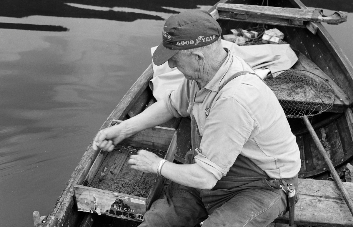 Yrkesfiskeren Paul Stensæter (1900-1982) egner reiven sin med ørekyt (Phoxinus phoxinus), en liten karpefisk som lokalt ble kalt «kime». Reiven var et literedskap, ei lang snor som var påknyttet fortommer med fiskekroker. Kima ble påtredd disse krokene i håp om at agnfisken skulle tiltrekke seg abbor (Perca fluviatilis), som var en mer attraktiv matfisk. Steinsæter fisket i Steinsfjorden, en sidearm til Tyrifjorden, både sommer og vinter. Reivfisket foregikk sommerstid, og fiskeren var kledd i dongerioverall of ensfarget flenellskjorte med oppbrettete ermer. På hodet hadde han ei skyggelue, et reklameprodukt fra dekkprodusenten Goodyear.

I 1970-åra var etnologen Åsmund Eknæs fra Norsk Skogbruksmuseum flere ganger på besøk hos Paul Stensæter for å observere ham i arbeid og intervjue ham om fiskeaktivitetene på ulike tider av året. Museumsmannen sammenfattet den kunnskapen han tilegnet seg om reivfisket og bruken av «kime» som agn i Steinsfjorden slik:

«Det kanskje mest effektive redskap på abboren var reiven. Når to stykker fisket sammen var det mulig å ha abborreiv med opptil 1 000 kroker. Disse hang i ca. 30 cm lange tamser med 2 favners mellomrom. Vi fikk altså her ei line på omkring 4 kilometers lengde! Reiven ble ikke satt på samme sted to dager i trekk. De satte den «bassenget rundt», dvs. at de fulgte en bestemt rutine for å få fisket rundt hele fjorden.

Da Paul gikk over til å fiske aleine nøyde han seg med 600 kroker. Agn var, så lenge det var lovlig, levende ørekyte, «kimer», Kima hadde han gående i en vannstamp med et klede over. Kledet hang litt ned i vannet slik at det ble en liten dam på oversida. Oppi her tok han en neve kime etter hvert som han trengte det. Reiven ble oppbevart i ei kasse med slinner langs kantene til feste for krokene. Paul greide å egne og kaste uti ca. 100 kroker på et kvarter. Da måtte han også få båten framover etter hvert som reiven ble satt ut.»