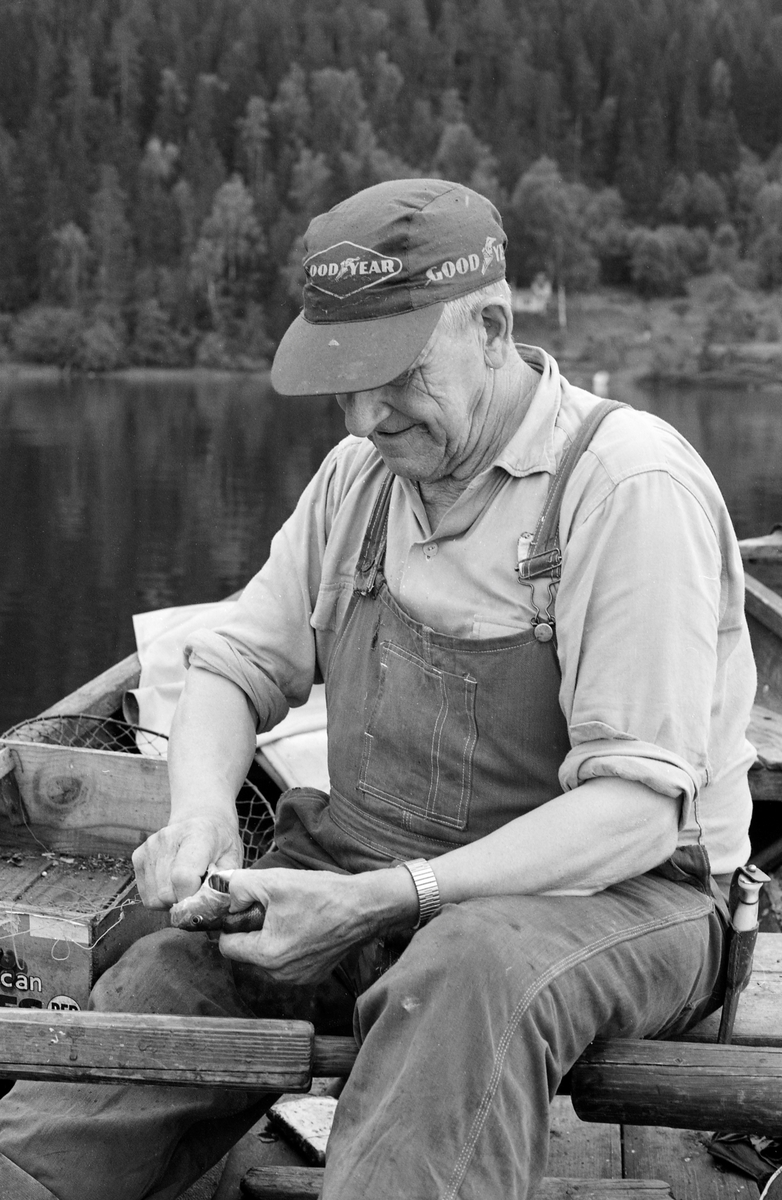 Yrkesfiskeren Paul Stensæter (1900-1982) egner reiven sin med ørekyt (Phoxinus phoxinus), en liten karpefisk som lokalt ble kalt «kime». Reiven var et literedskap, ei lang snor som var påknyttet fortommer med fiskekroker. Kima ble påtredd disse krokene i håp om at agnfisken skulle tiltrekke seg abbor (Perca fluviatilis), som var en mer attraktiv matfisk. Steinsæter fisket i Steinsfjorden, en sidearm til Tyrifjorden, både sommer og vinter. Reivfisket foregikk sommerstid, og fiskeren var kledd i dongerioverall of ensfarget flenellskjorte med oppbrettete ermer. På hodet hadde han ei skyggelue, et reklameprodukt fra dekkprodusenten Goodyear.

I 1970-åra var etnologen Åsmund Eknæs fra Norsk Skogbruksmuseum flere ganger på besøk hos Paul Stensæter for å observere ham i arbeid og intervjue ham om fiskeaktivitetene på ulike tider av året. Museumsmannen sammenfattet den kunnskapen han tilegnet seg om reivfisket og bruken av «kime» som agn i Steinsfjorden slik:

«Det kanskje mest effektive redskap på abboren var reiven. Når to stykker fisket sammen var det mulig å ha abborreiv med opptil 1 000 kroker. Disse hang i ca. 30 cm lange tamser med 2 favners mellomrom. Vi fikk altså her ei line på omkring 4 kilometers lengde! Reiven ble ikke satt på samme sted to dager i trekk. De satte den «bassenget rundt», dvs. at de fulgte en bestemt rutine for å få fisket rundt hele fjorden.

Da Paul gikk over til å fiske aleine nøyde han seg med 600 kroker. Agn var, så lenge det var lovlig, levende ørekyte, «kimer», Kima hadde han gående i en vannstamp med et klede over. Kledet hang litt ned i vannet slik at det ble en liten dam på oversida. Oppi her tok han en neve kime etter hvert som han trengte det. Reiven ble oppbevart i ei kasse med slinner langs kantene til feste for krokene. Paul greide å egne og kaste uti ca. 100 kroker på et kvarter. Da måtte han også få båten framover etter hvert som reiven ble satt ut.»